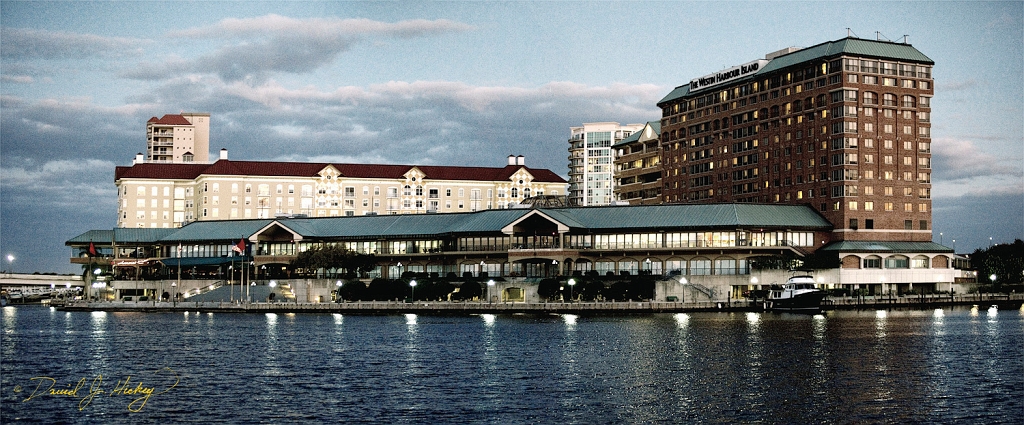 Tampa Panorama 4